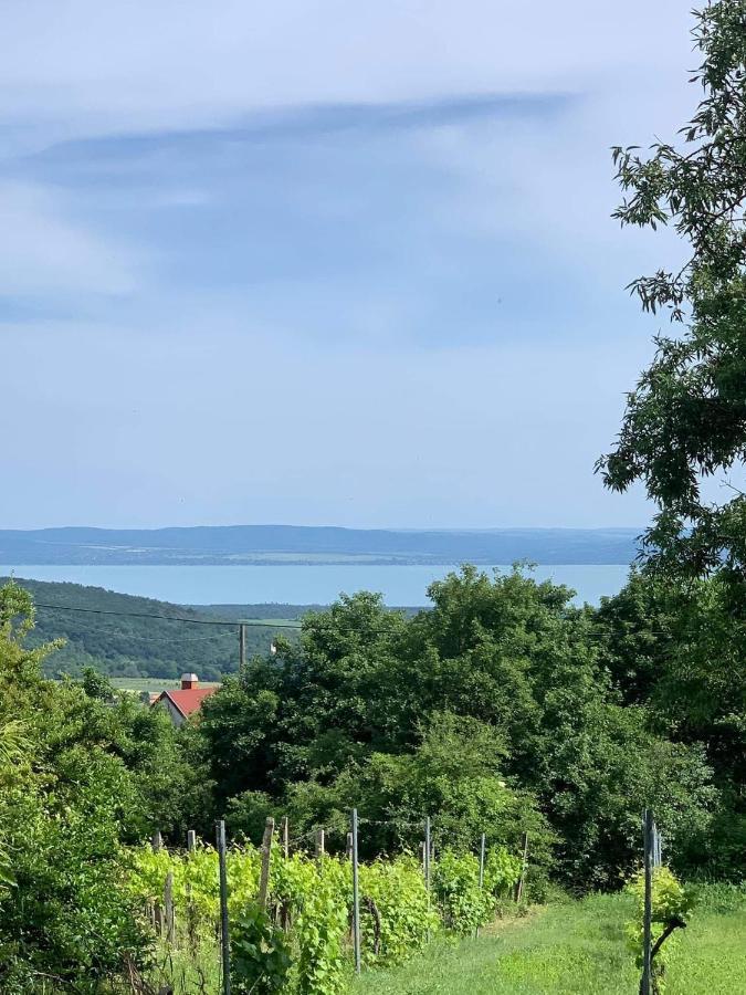 Casa vacanze Nagykulcsos Nyulontul