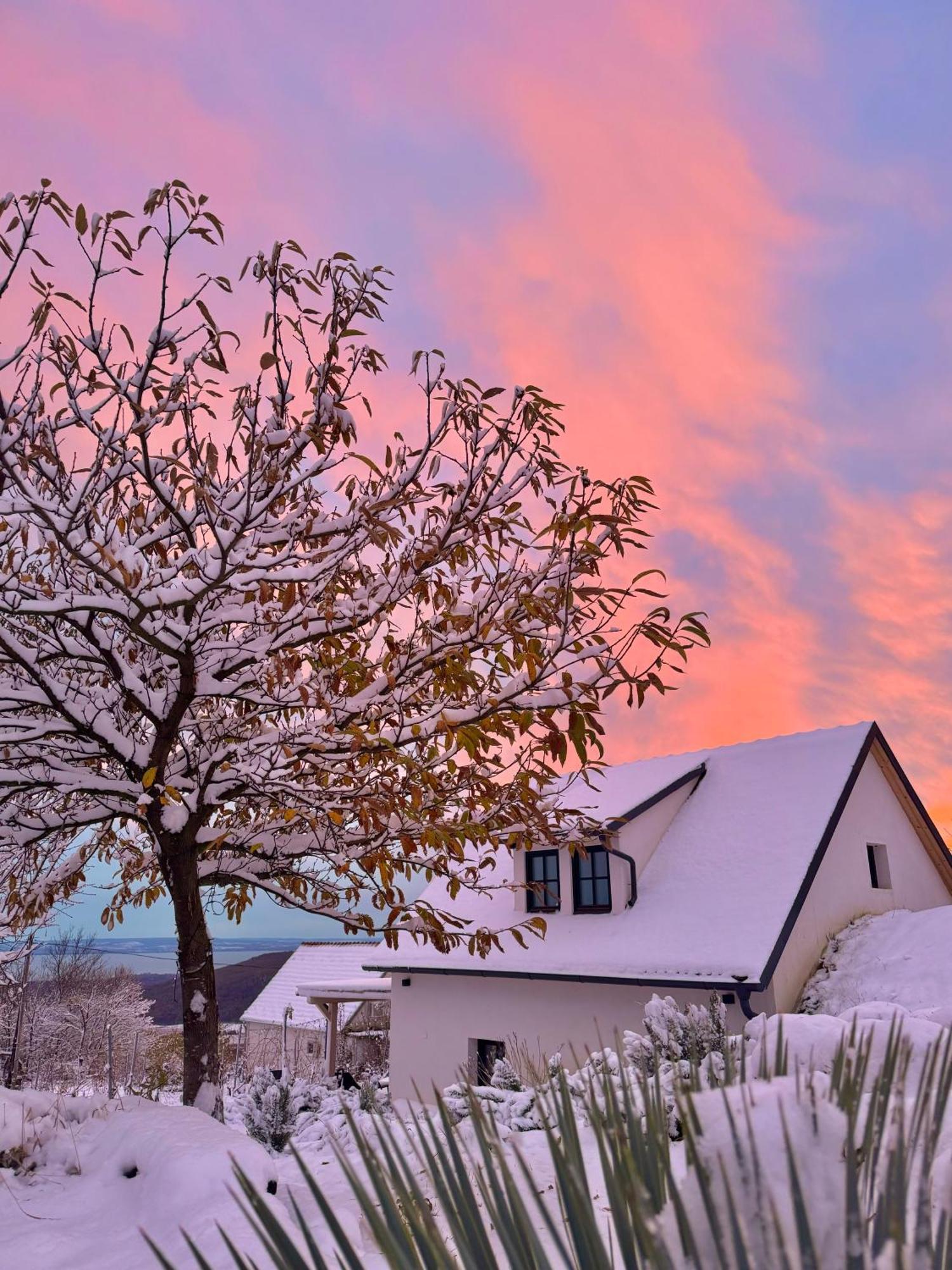 Nagykulcsos Nyulontul Casa vacanze Mencshely